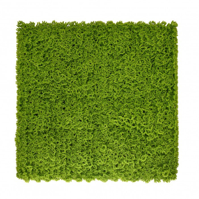 Műnövény falpanel, 50 × 50 cm-es moha zöldfal - Homelux, 5905610253776 Hlavný obrázok