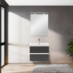 Vario002 - Vario002_altpic_1.jpg