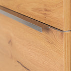 Vario018 - Vario018_altpic_5.jpg