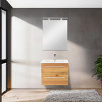 Vario030 - Vario030_altpic_1.jpg