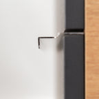 Vario053 - Vario053_altpic_6.jpg