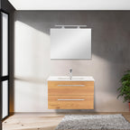 Vario066 - Vario066_altpic_1.jpg